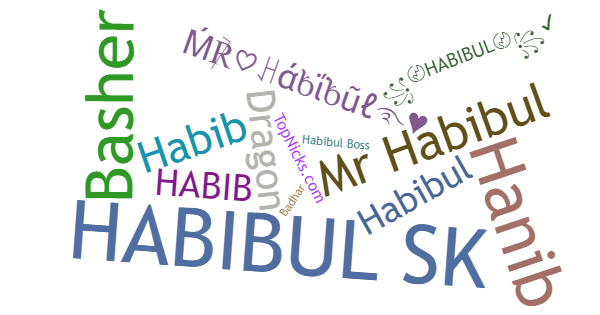 Surnoms pour Habibul