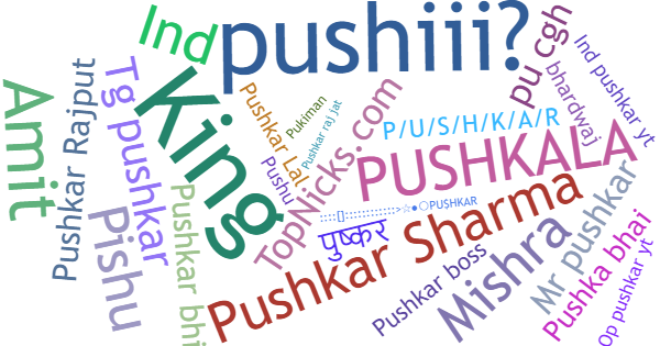 Surnoms pour Pushkar